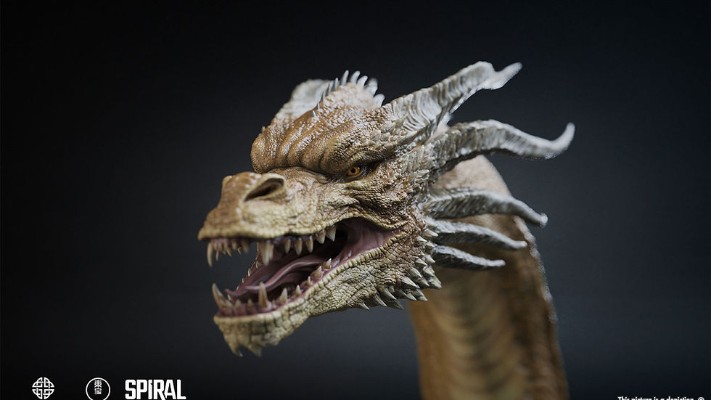 基多拉 2019 普通版