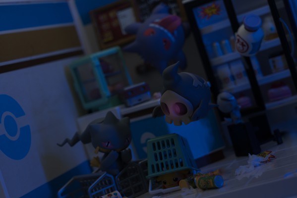 精灵宝可梦 深夜里的神奇小屋