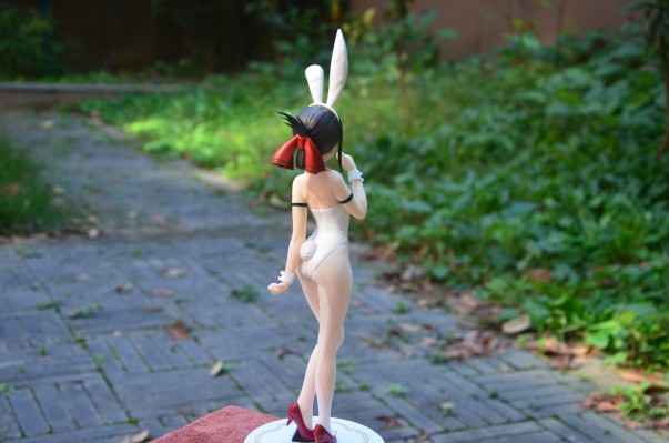 BiCute Bunnies 辉夜大小姐想让我告白～初吻不会结束～ 四宫辉夜