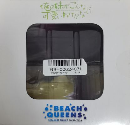 沙滩女王 我的妹妹不可能那么可爱第二季  黑猫