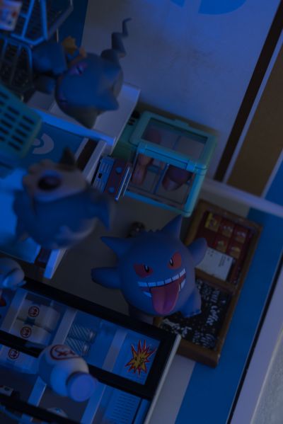 精灵宝可梦 深夜里的神奇小屋