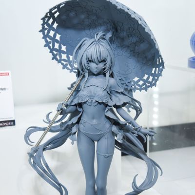 命运-冠位指定  身披角色者-阿瓦隆女士