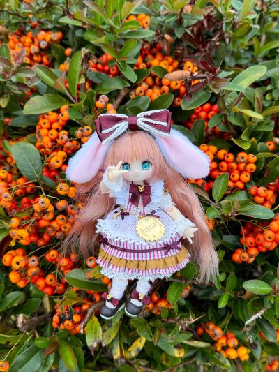 糖果杯 饼干 ～星屑仙境～ 秋叶原店开业7周年纪念 (Azone商城限定贩售)