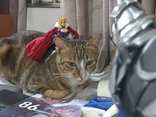 figma#568 命运-冠位指定 枪兵 / 阿尔托莉雅·潘德拉贡