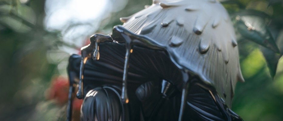 菇娘系列·No.4·毛头鬼伞