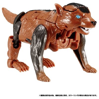 变形金刚传世系列 TL-61 幼獾