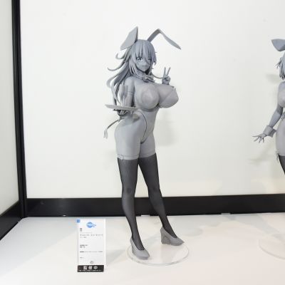 B-style 兔女郎服装计划 维罗妮卡·斯威哈 兔女郎