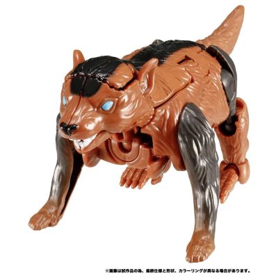 变形金刚传世系列 TL-61 幼獾