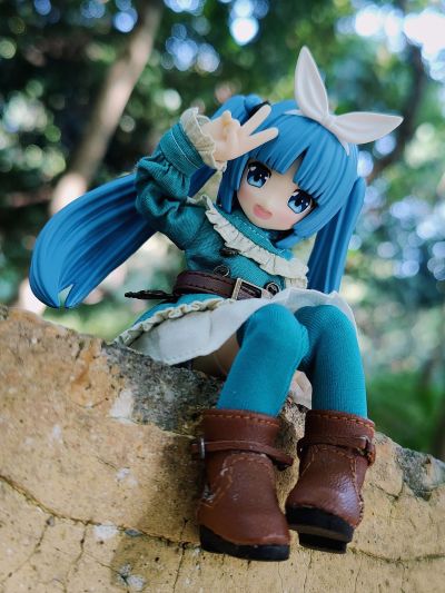 耳朵花园博物志 雪莉奴