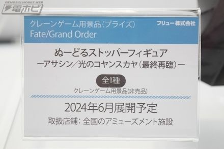 压泡面 命运-冠位指定  暗匿者-光之高扬斯卡娅（最终再临）