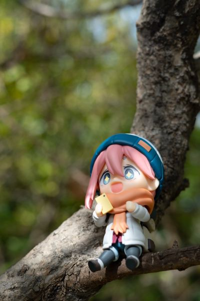 抚子的单人旅行⭐