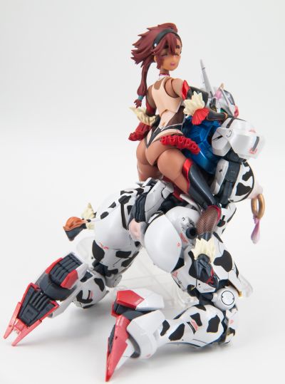 FULL MECHANICS 1/100 风灵高达