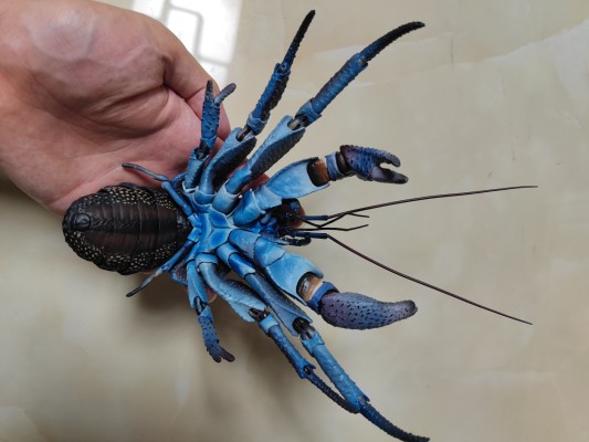 高级生物大图鉴 椰子蟹