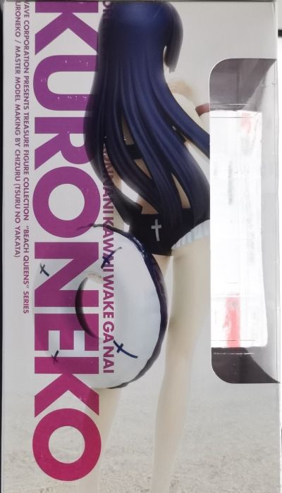 沙滩女王 我的妹妹不可能那么可爱第二季  黑猫