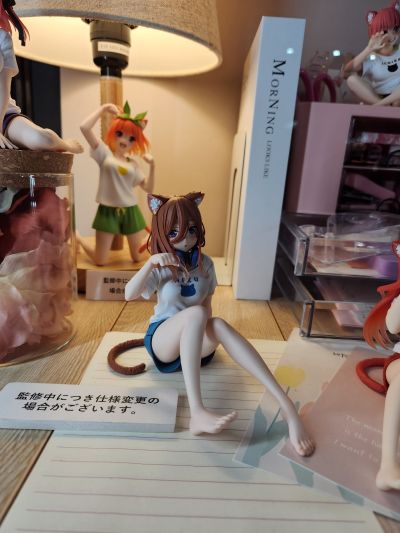 Desktop Cute 五等分的新娘∬ 中野二乃 ~新绘制猫咪居家服~