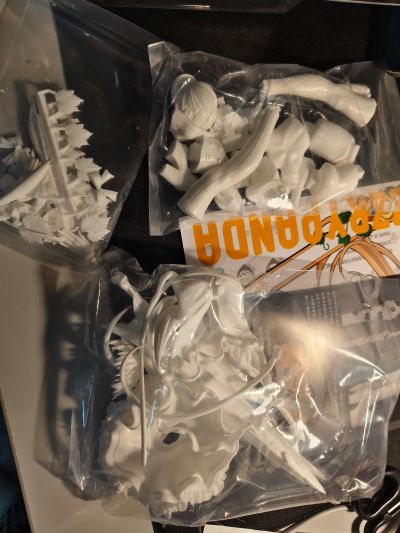 命运-冠位指定 魔术师 - 阿尔托莉雅（狂）泳装