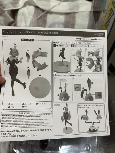 B-style 兔女郎服装计划 索菲亚· F· 希琳 兔女郎