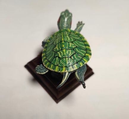 【水上精灵】海洋生物系列 Vol.1宽吻海豚【#1-001】