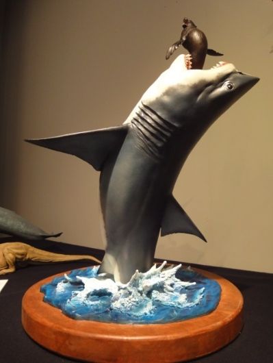 NATURE TALES 大白鲨