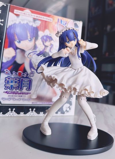 月詠 葉月 猫耳礼服ver. 