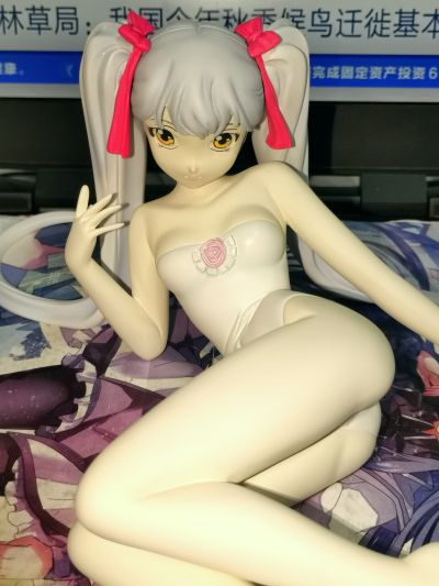 機動戦艦ナデシコ 星野ルリ 泳装ver. 