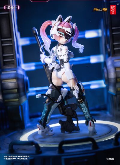 EveD系列AMBRA-02(强袭猫) 安布拉