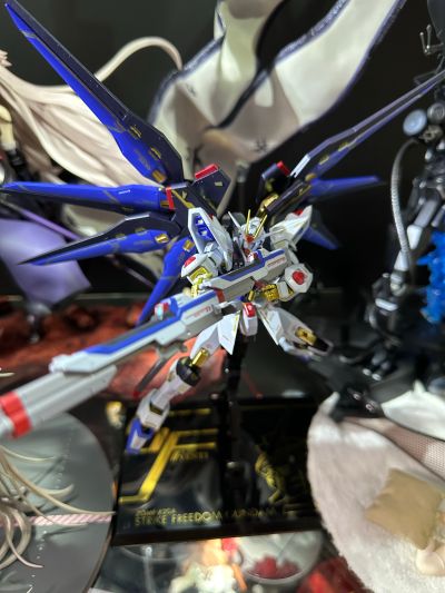 METAL ROBOT魂＜机动战士系列＞  强袭自由高达  SEED20周年纪念版