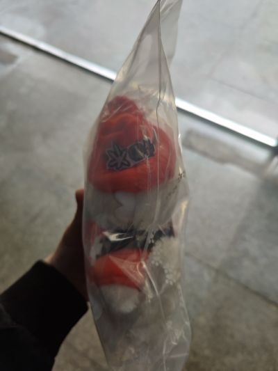 毛绒绒 吸血鬼马上死2 罗纳德