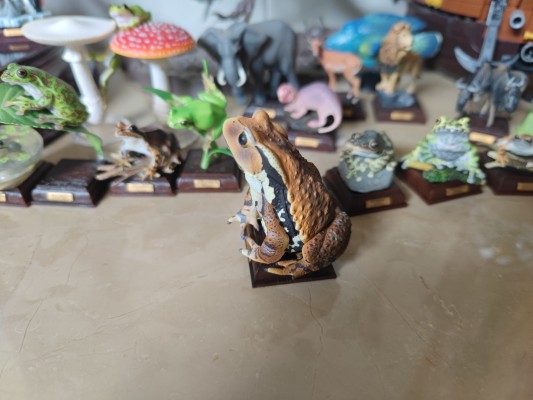 小手办 蜘蛛猫猫