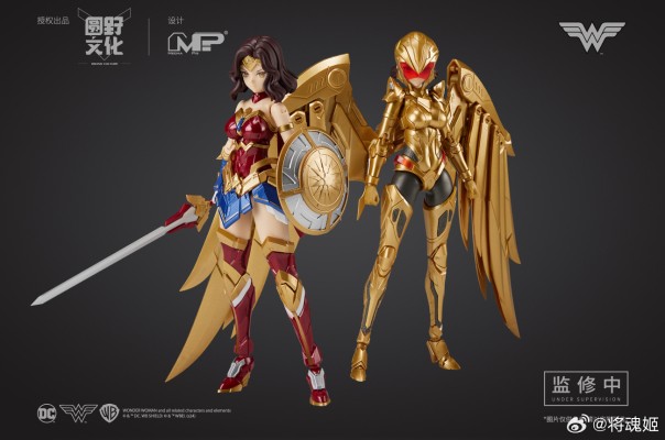 DC 神奇女侠