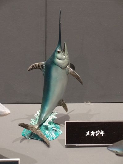 NATURE TALES 蓝枪鱼