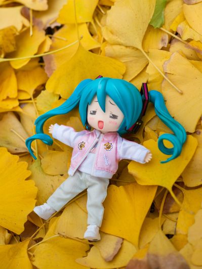 粘土娃: 服装套组 刺绣夹克