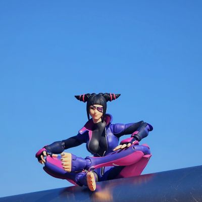 街头霸王5 韩蛛俐