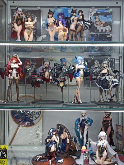 碧蓝航线  布莱默顿 功夫少女