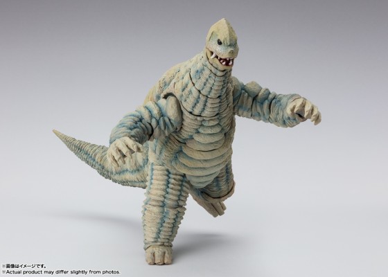 S.H.Figuarts  雷德王