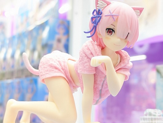 Desktop Cute Re:从零开始的异世界生活 拉姆 ~猫咪居家服~