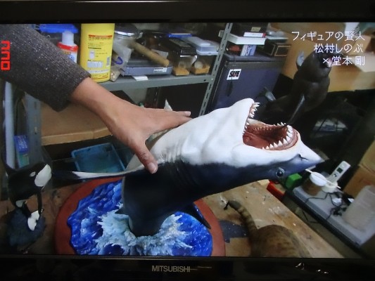 NATURE TALES 大白鲨