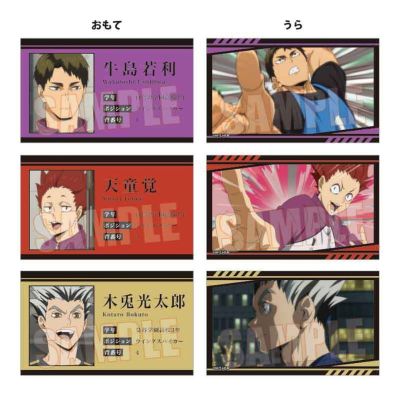 排球少年 回忆卡片收藏