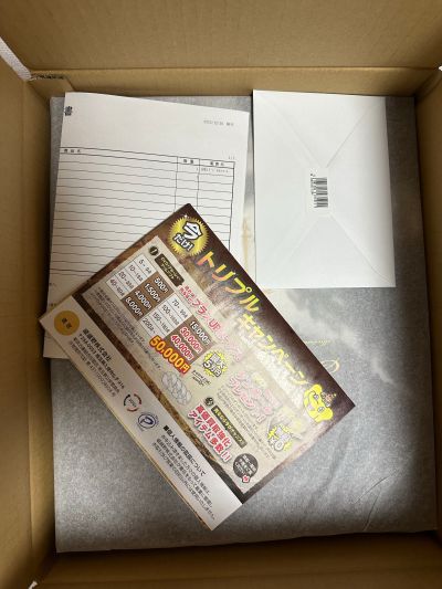 罪孽深重的的圣女·修女艾莎