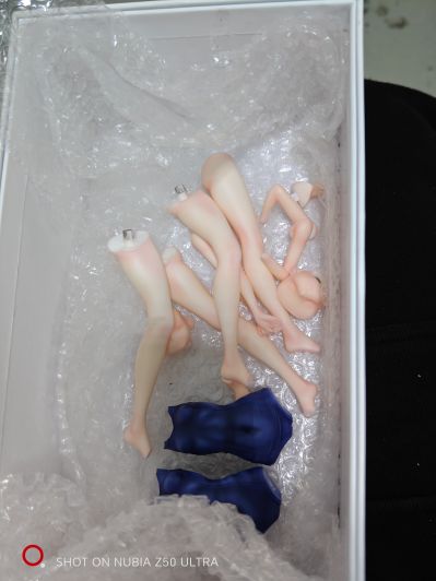 崩坏3rd 布洛妮娅  夏活泳装