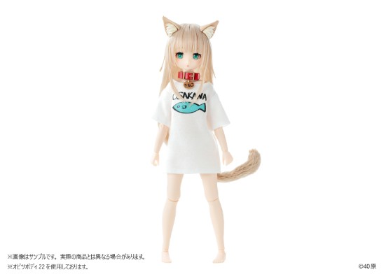 我家的猫是可爱女孩 黄豆粉 普通版