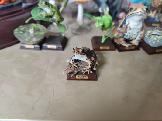 小手办 蜘蛛猫猫