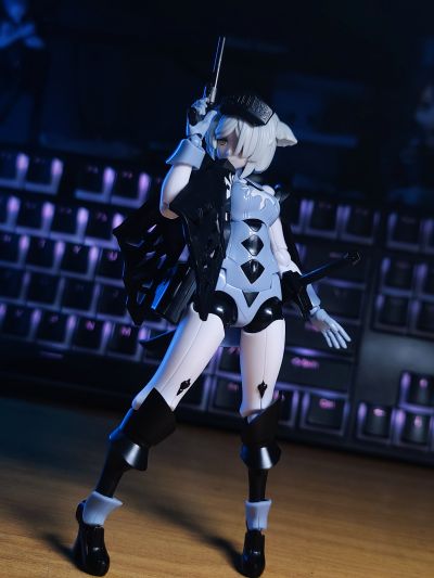 chitocerium VI-carbonia graphites