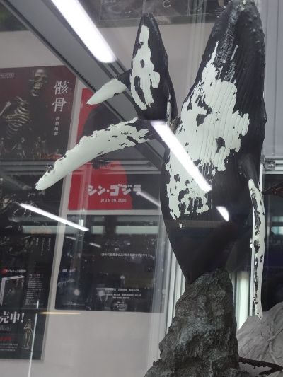 NATURE TALES 座头鲸亲子