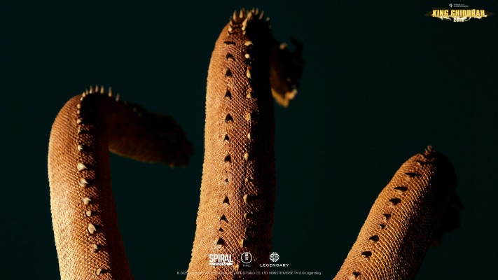 泰坦巨兽 哥斯拉2：怪兽之王 基多拉（2019）