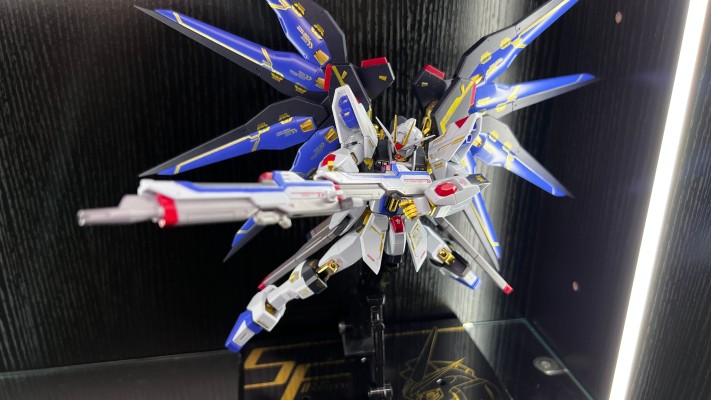 METAL ROBOT魂＜机动战士系列＞  强袭自由高达  SEED20周年纪念版