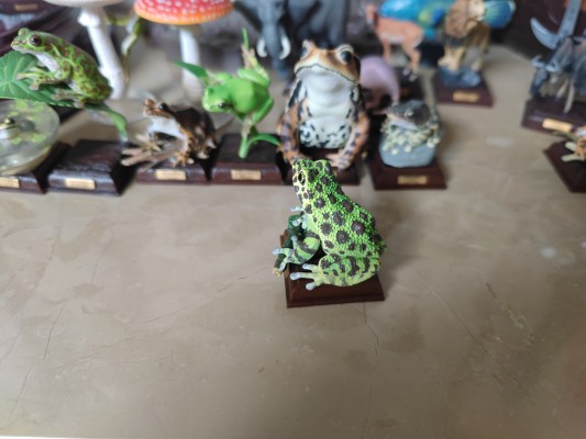 【水上精灵】海洋生物系列 Vol.1宽吻海豚【#1-001】