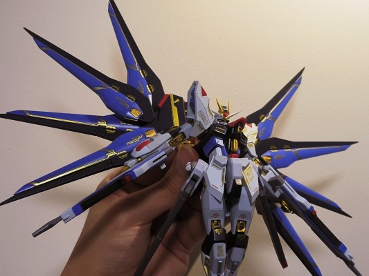 METAL ROBOT魂＜机动战士系列＞  强袭自由高达  SEED20周年纪念版