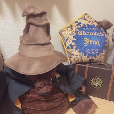 哈利波特 分院帽