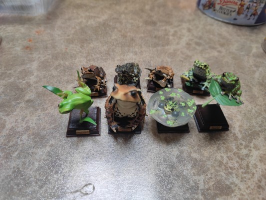 NATURE TALES 蓝枪鱼